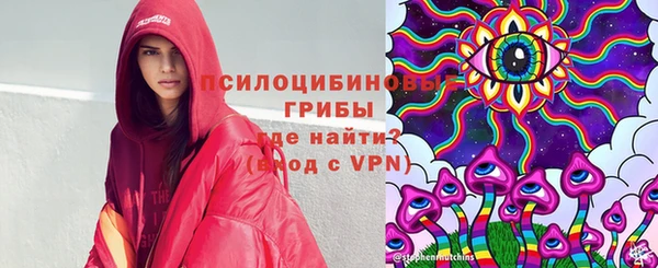 героин Каменка