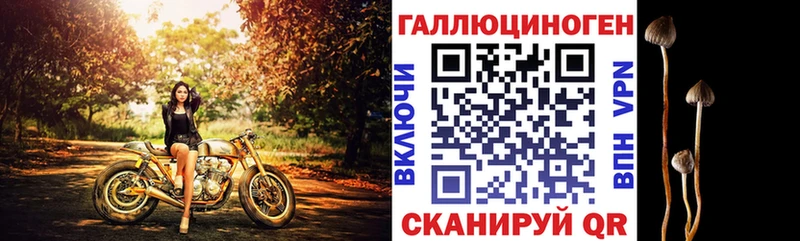 Галлюциногенные грибы прущие грибы  Купить где  Ряжск 